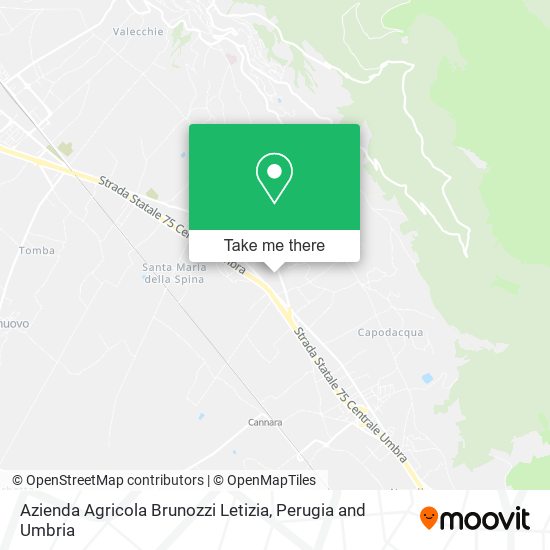 Azienda Agricola Brunozzi Letizia map