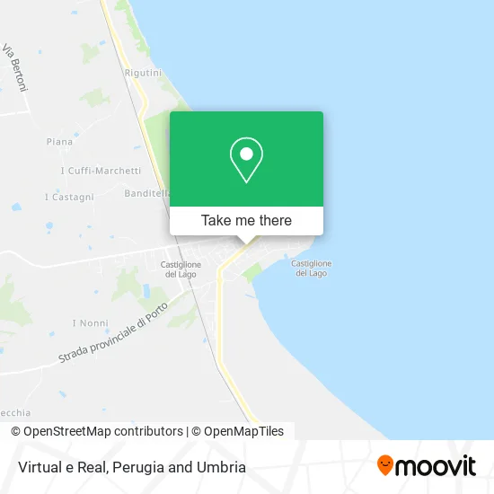 Virtual and Real map