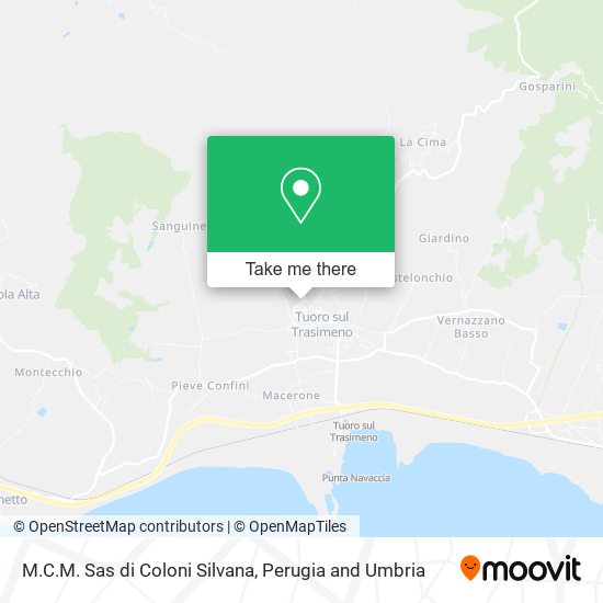 M.C.M. Sas di Coloni Silvana map