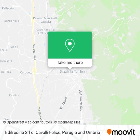 Edilresine Srl di Cavalli Felice map