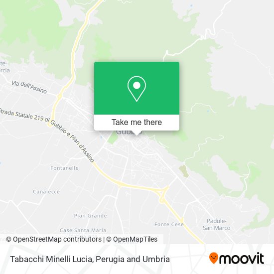 Tabacchi Minelli Lucia map