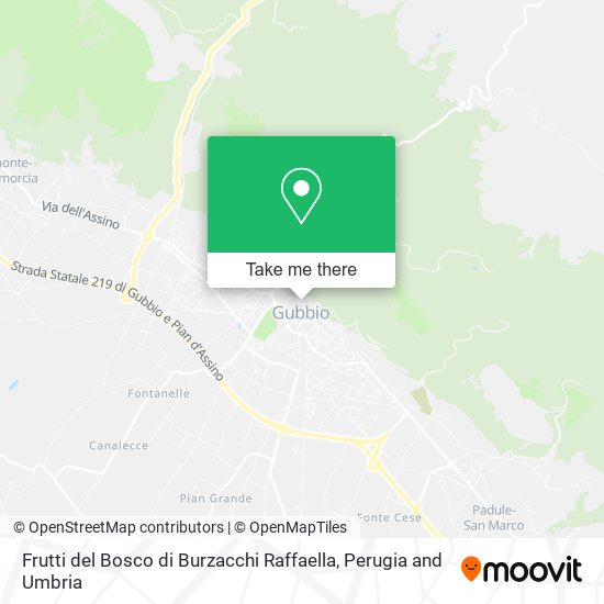 Frutti del Bosco di Burzacchi Raffaella map