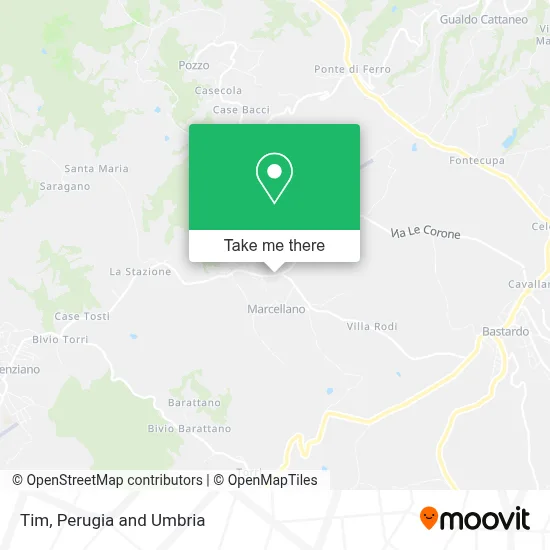 Tim map