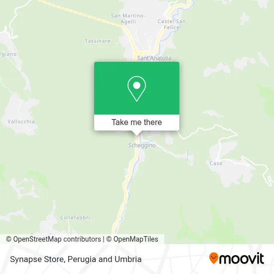 Synapse Store map