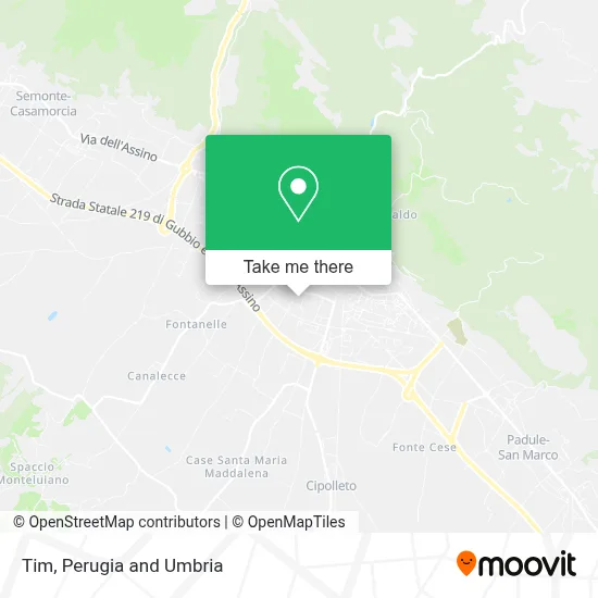 Tim map