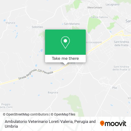 Ambulatorio Veterinario Loreti Valeria map
