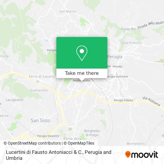 Lucertini di Fausto Antoniacci & C. map