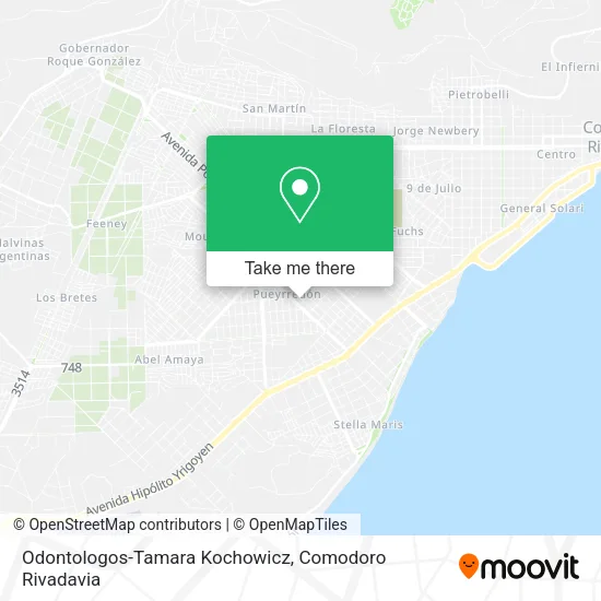 Odontologos-Tamara Kochowicz map