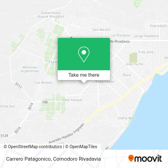 Carrero Patagonico map
