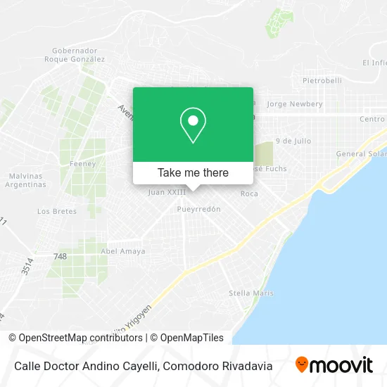 Calle Doctor Andino Cayelli map