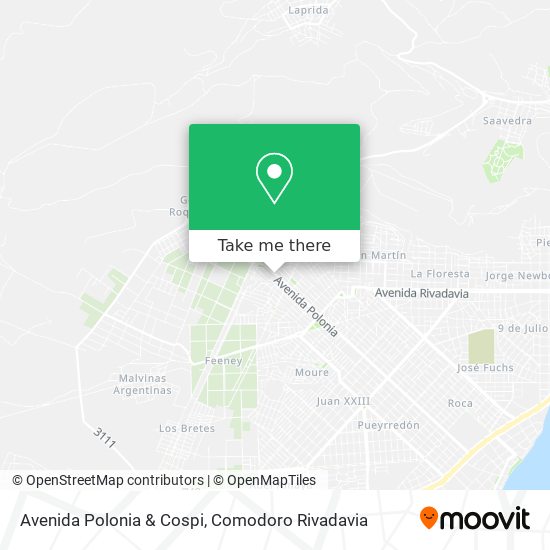 Avenida Polonia & Cospi map