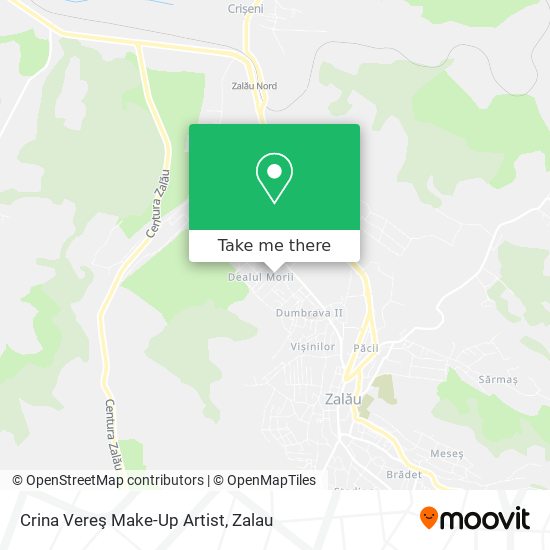 Crina Vereş Make-Up Artist map