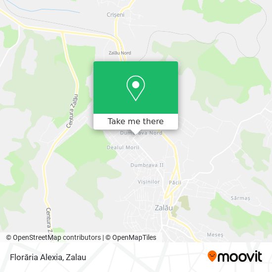 Florăria Alexia map
