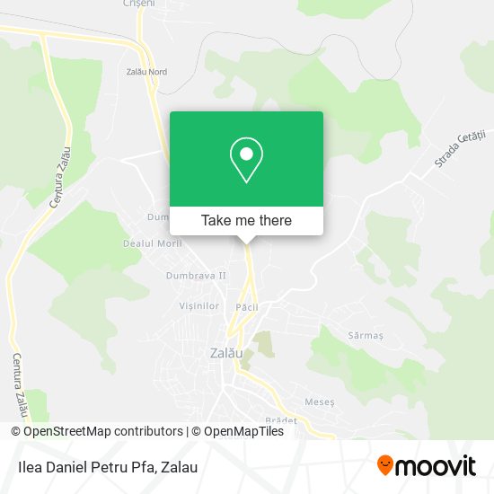Ilea Daniel Petru Pfa map