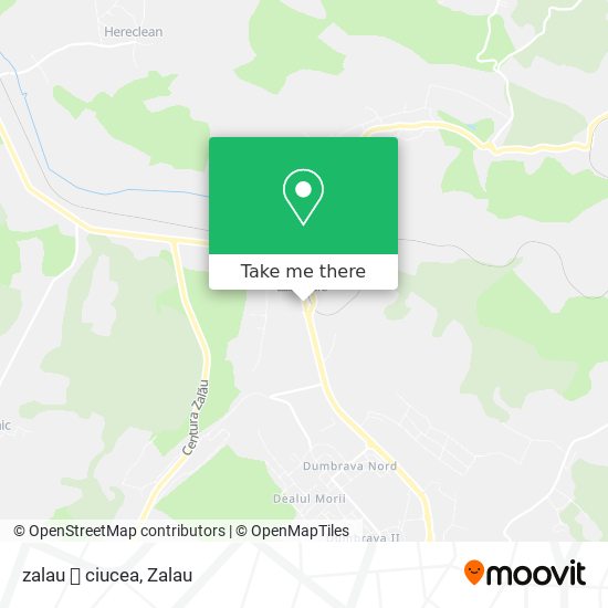 zalau 🔜 ciucea map