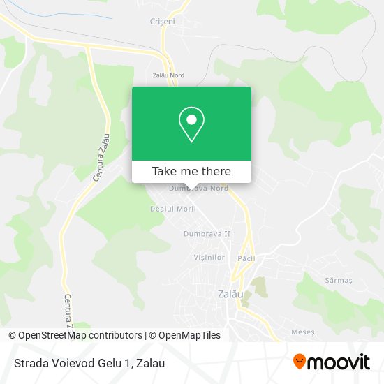 Strada Voievod Gelu 1 map