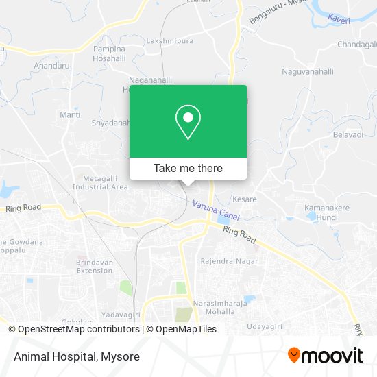 Animal Hospital map