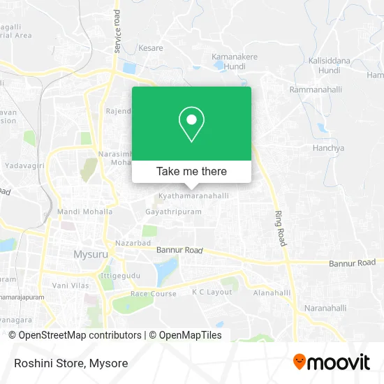 Roshini Store map
