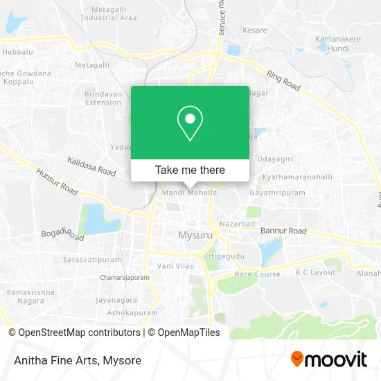 Anitha Fine Arts map