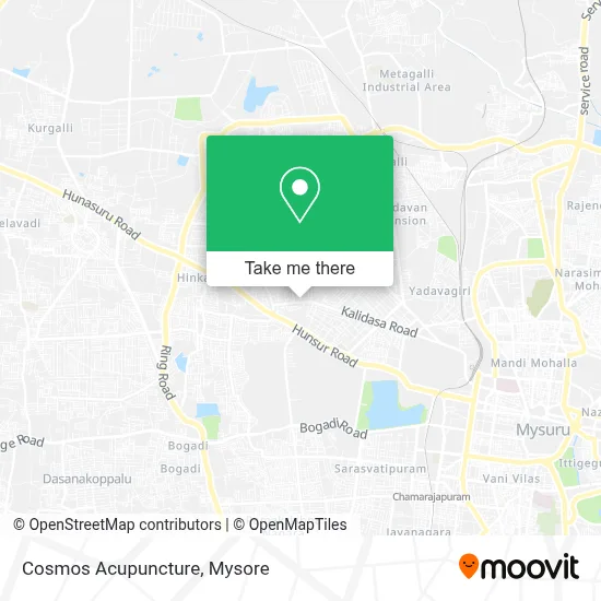 Cosmos Acupuncture map