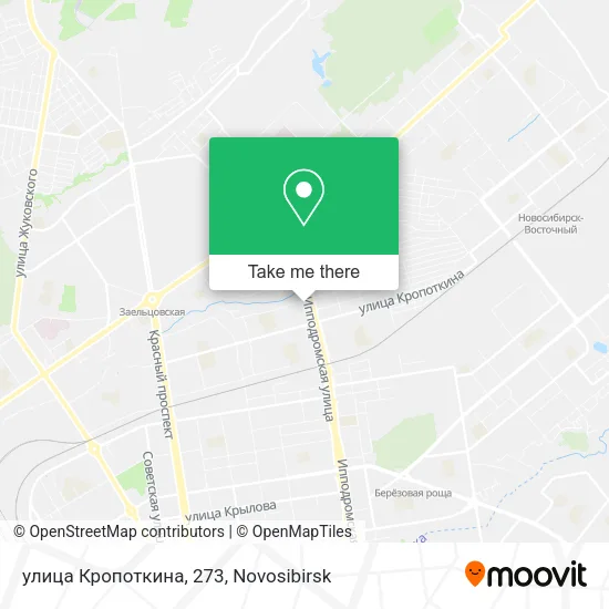 улица Кропоткина, 273 map