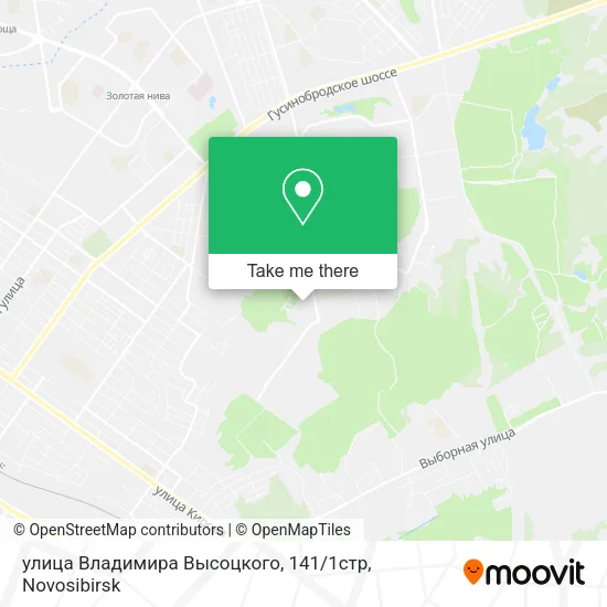 улица Владимира Высоцкого, 141 / 1стр map