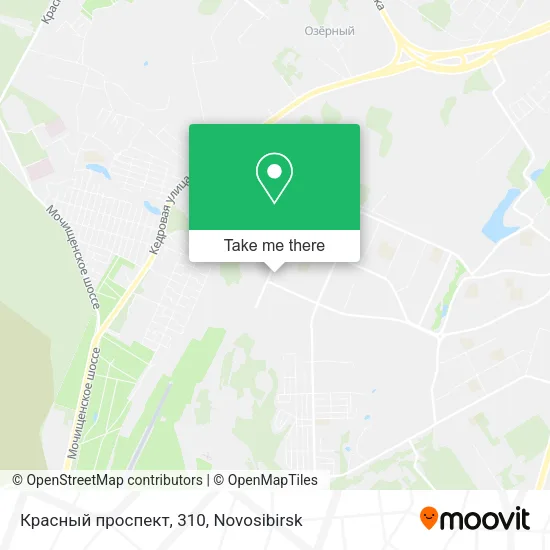 Красный проспект, 310 map