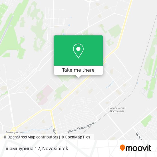 шамшурина 12 map
