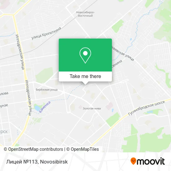 Лицей №113 map