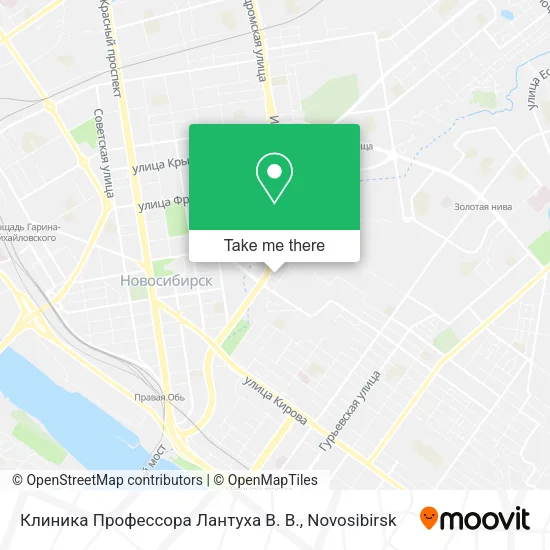 Клиника Профессора Лантуха В. В. map
