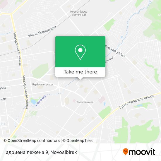 адриена лежена 9 map