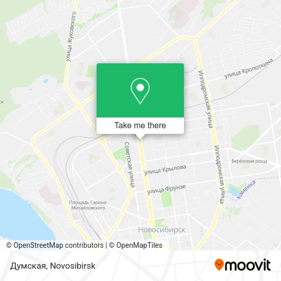 Думская map