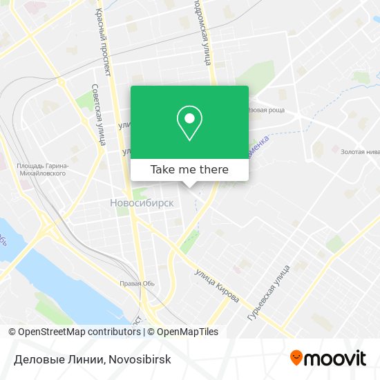 Деловые Линии map