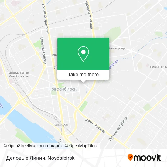 Деловые Линии map