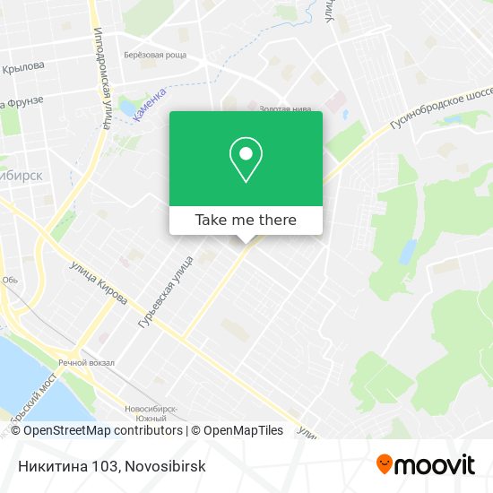 Никитина 103 map