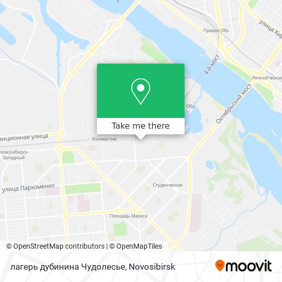лагерь дубинина Чудолесье map