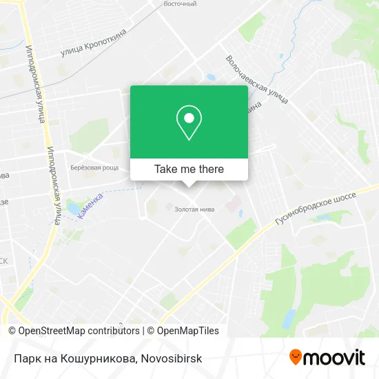 Парк на Кошурникова map