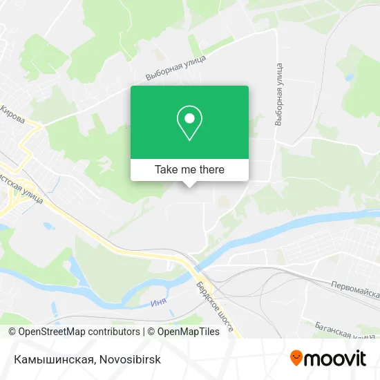 Камышинская map