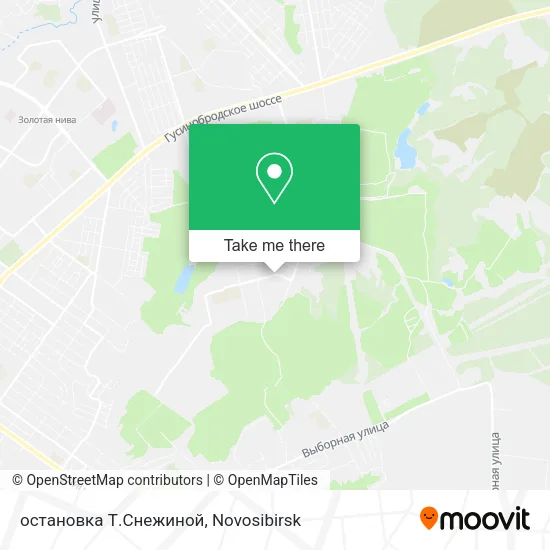 остановка Т.Снежиной map