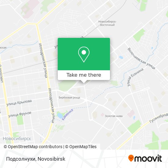 Подсолнухи map