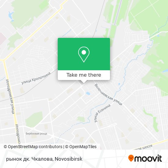 рынок дк. Чкалова map