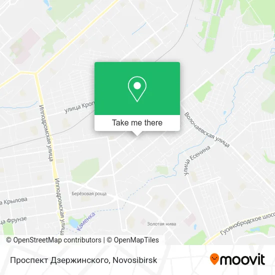 Проспект Дзержинского map
