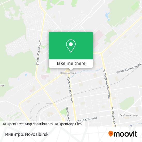 Инвитро map