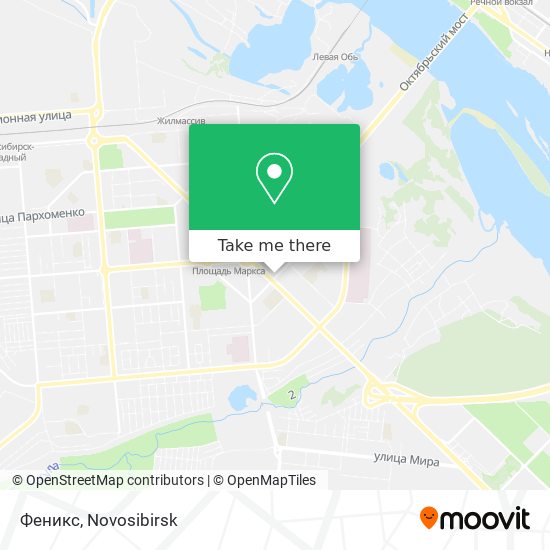 Феникс map