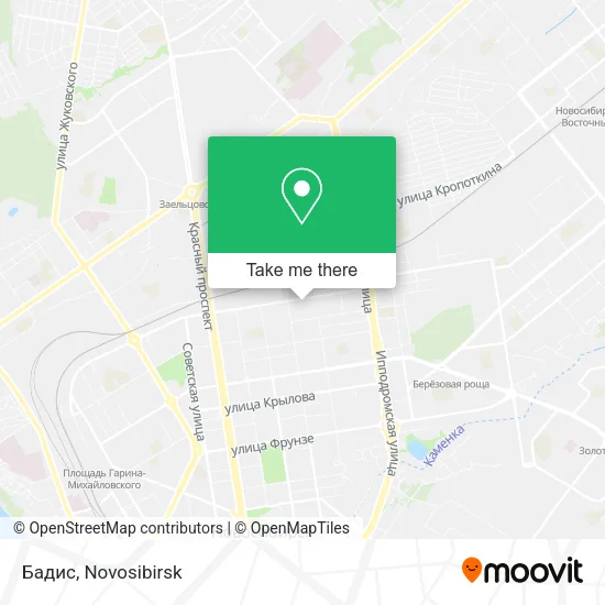 Бадис map
