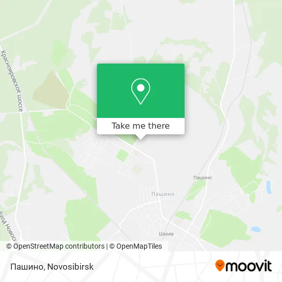 Пашино map