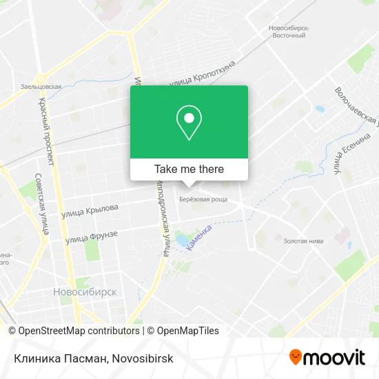 Клиника Пасман map