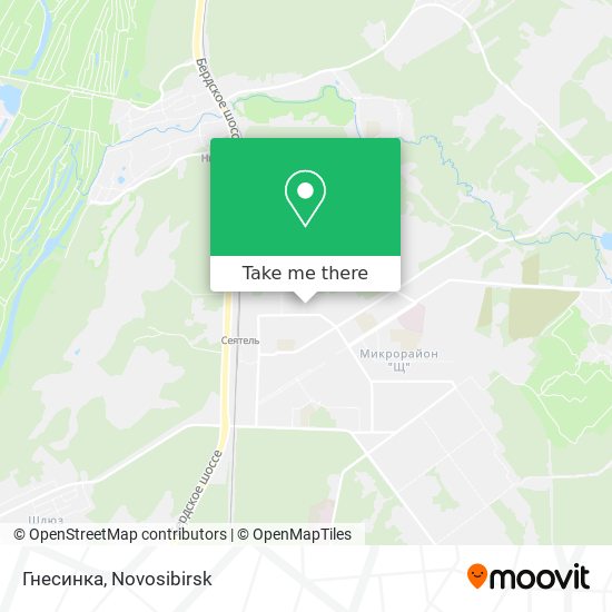Гнесинка map