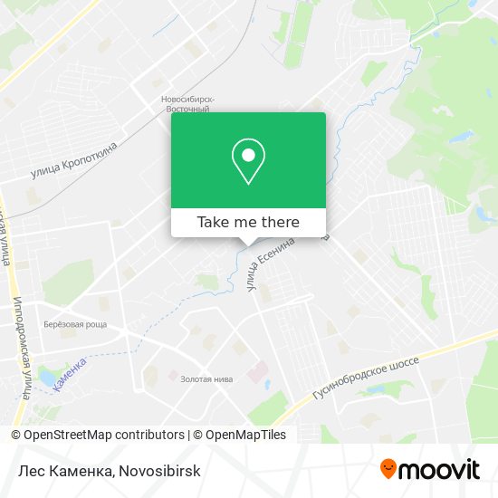 Лес Каменка map