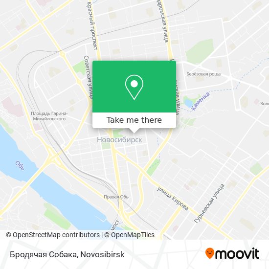 Бродячая Собака map